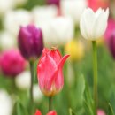 부천로264번길 이미지