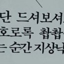 애니멀패밀리