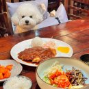 림왕돈까스 | 림왕돈까스 : 남산 애견 동반 돈가스집 (솔직 후기)