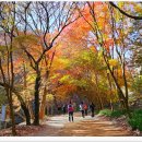 강천산군립공원 이미지