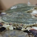 부영가든 이미지