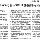 새로운 mRNA 백신 플랫폼 설계법 개발 이미지