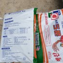금호청과마트