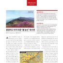 (주)영주미디어