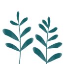 수채일러스트 지도사 2급 과정 이미지