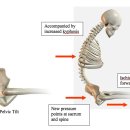 바디짐휘트니스 이미지