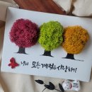 라미플로라