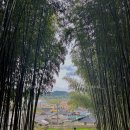 죽녹원 봉황루 | 5월 국내여행 가볼만한곳 | 전남 담양 죽녹원 후기, 관람팁, 주차
