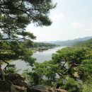 처연의 소리 이미지