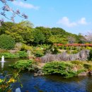 카멜리아힐 이미지