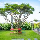 내림 풀빌라 이미지