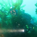 주문진 리조트 이미지