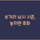 시즌낚시