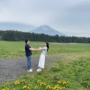 견바라기 | 야마나카호 후지산뷰 숙소 Tabist Lakeside inn Fujinami 시라이토폭포,타누키호수,아사기리고원