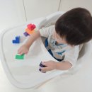 두리반디 이미지