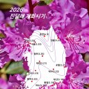 2026 개나리, 진달래 개화시기 이미지