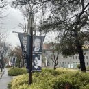 세일즈맨의 죽음 | 연극 <세일즈맨의 죽음> 용인 공연 후기