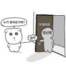 마이호니 | 최애가 나에게로 오는 건 너무 수동적이다 내가 최애에게 간다