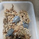 오늘도 너와 이미지