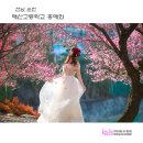 순천매산고등학교 이미지