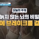 늙지 않는 뇌의 비밀, 치매에 브레이크를 걸어라 이미지