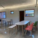 애견세상 이미지