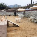 서촌동 댕번지 이미지