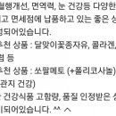 세계건강면세점할인점