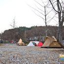 솔몽지 | 양평 솔몽지캠핑장... 꽃보다 솔캠