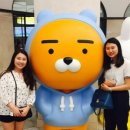꼬메르 이미지