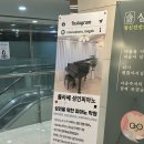 뚱땅뚱땅 | [강서/마곡] 클라쎄 성인 피아노에서 뚱땅뚱땅 | 마곡 성인피아노 레슨 후기