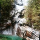 신토불이 이미지