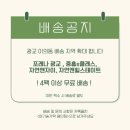 아기숟가락 | 수지구 수제 이유식 배달 아기숟가락 용인점 후기