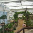 선바위관광지 이미지