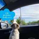 닥터원동물병원 이미지