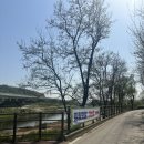 세곡천 | 2024 세곡천 힐링텃밭 꿀팁