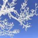 요곡목장 | [여사모출사] 발왕산