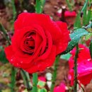 (주)오월의아침 이미지