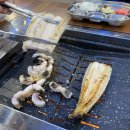 폭풍장어 이미지