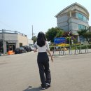 함평군보건소 | 함평군 보건소_테라리움_출강 후기
