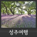 어느날성주 이미지