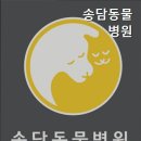 송담동물병원 네이버블로그