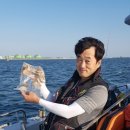 연안카센타 이미지