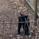 한국민들레도서관 | 멍청이에게 공부하라고 강요하지 마라