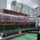 한치도로변 이미지