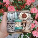 마카롱 제작소 이미지