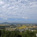 영종H동물의료센터 이미지