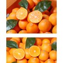 추석🍊선물세트 황금향🍊하우스 감귤🍊판매 합니다. 이미지