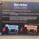 꽃보다항정살 이미지
