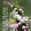 만사형통 Daum카페